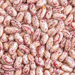 Sugar Beans - Image 1